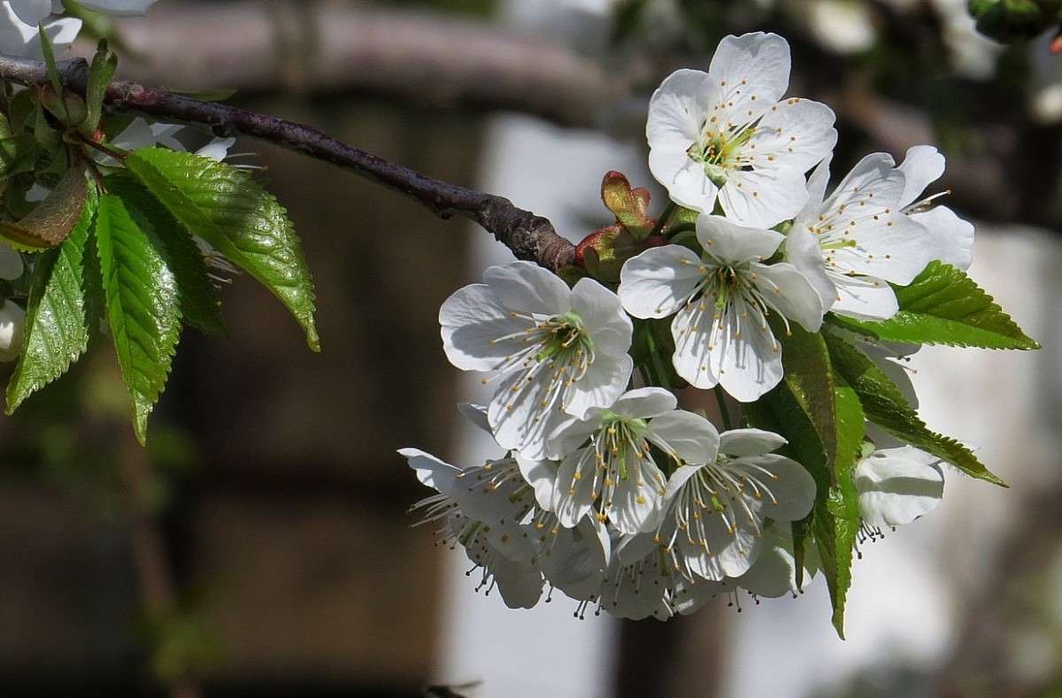 �������� ������. ))) ����� Natali  ��������� �� PhotoGeek.ru #������ ��� ������� #����� ��������������