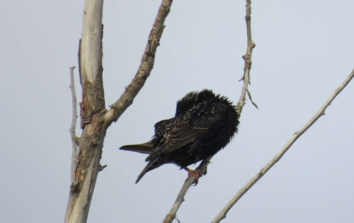 ������ �� ������ ))) ����� Natali  ��������� �� PhotoGeek.ru #�������� ��� #����� ��� ��� ���������