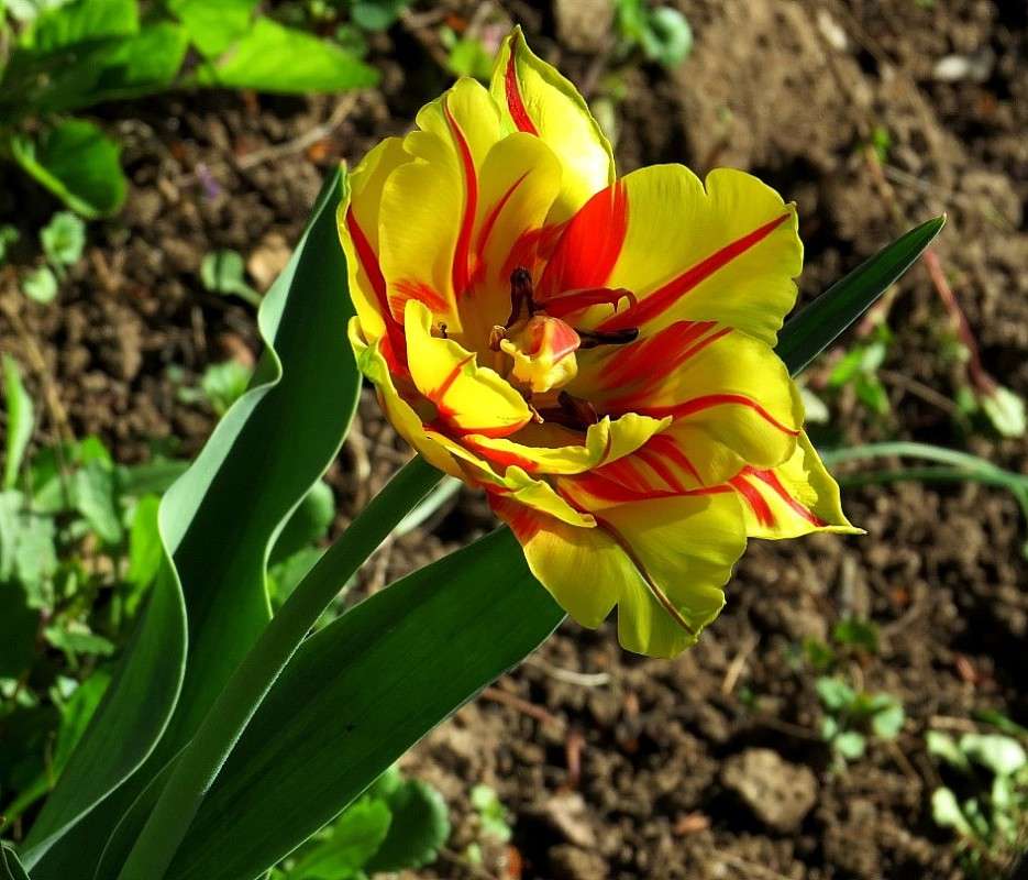 ... ����� Natali  ��������� �� PhotoGeek.ru #������ ��� ������� #����� ��������������