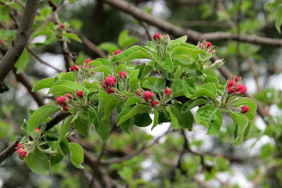 � �������� ) ����� Natali  ��������� �� PhotoGeek.ru #������ ��� ������� #����� ��������������