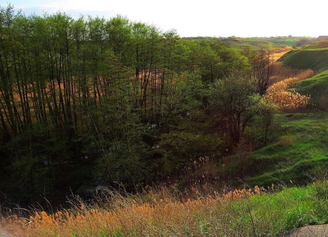 ������� ������ ))) ����� Natali  ��������� �� PhotoGeek.ru #�������� ����������