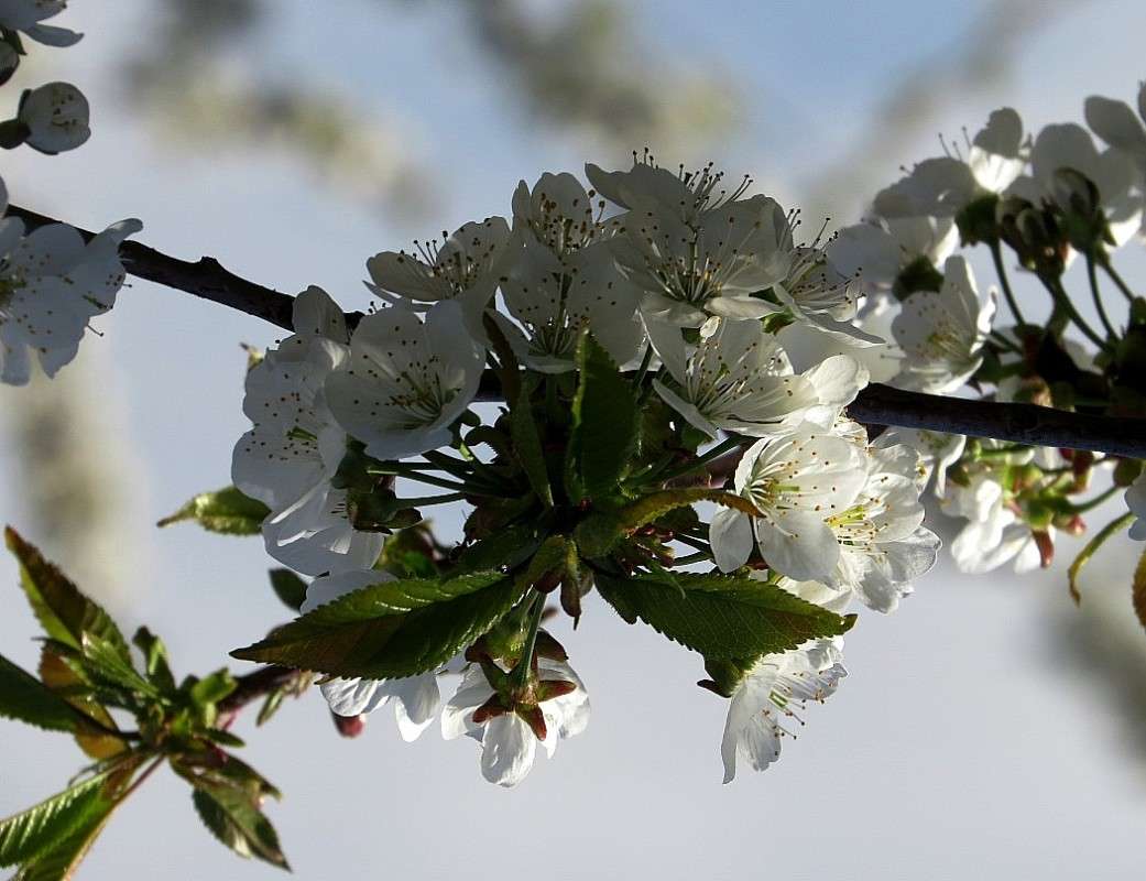 ���������� ������ ))) ����� Natali  ��������� �� PhotoGeek.ru #������ ��� ������� #����� ��������������