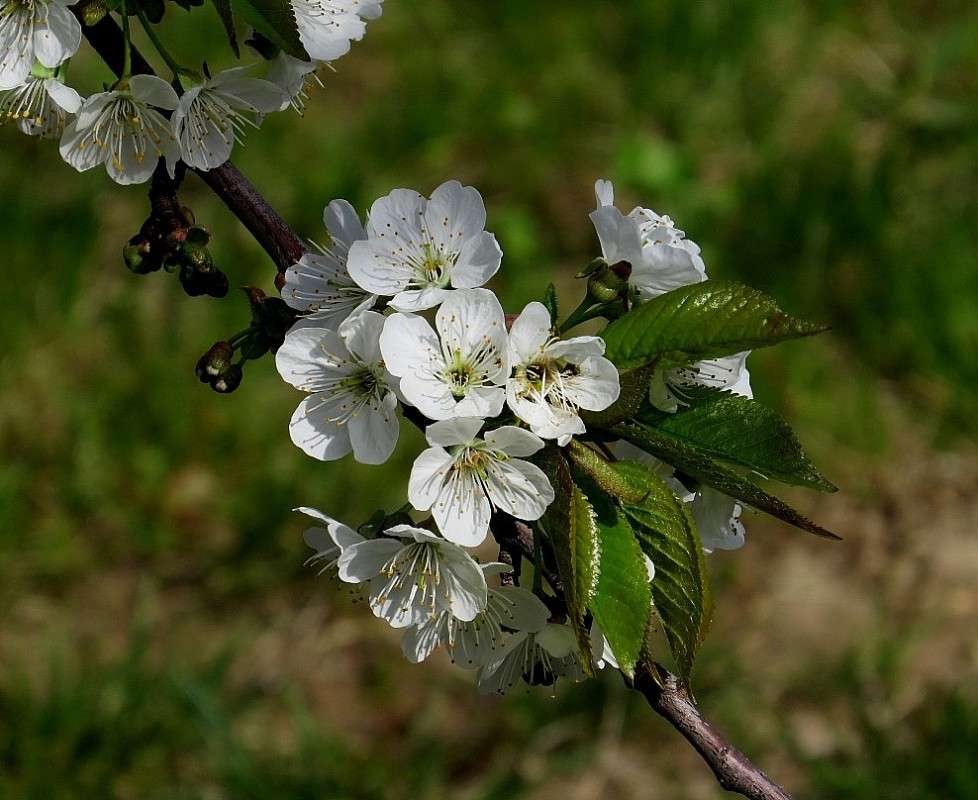 ���������� ������ 2 ))) ����� Natali  ��������� �� PhotoGeek.ru #������ ��� ������� #����� ��������������