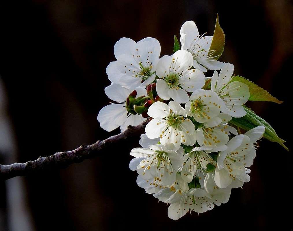 ... ����� Natali  ��������� �� PhotoGeek.ru #������ ��� ������� #����� ��������������