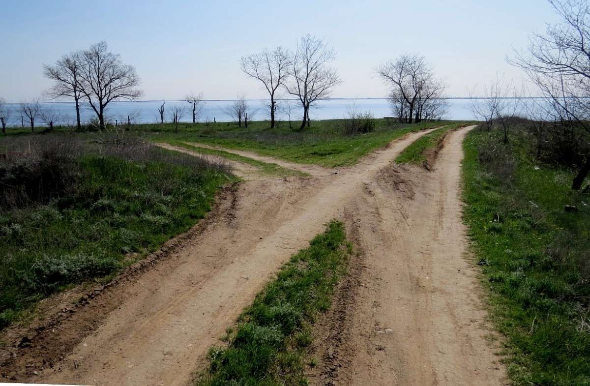 ��, ������ .... ����� Natali  ��������� �� PhotoGeek.ru #������ ��� �������