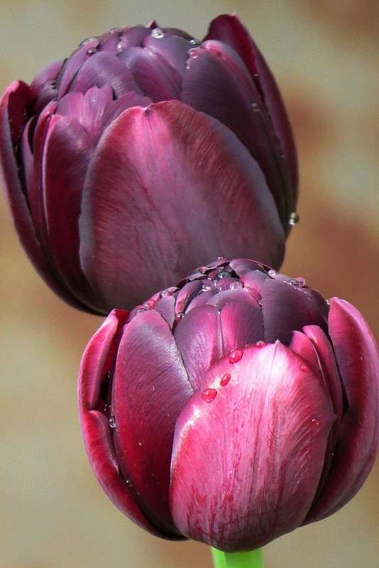 �������� ������ � ���� �������� ) ����� Natali  ��������� �� PhotoGeek.ru #������ ��� ������� #����� ��������������