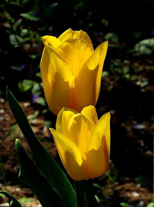 �������� ������ � ���� �������� ) ... 2 ����� Natali  ��������� �� PhotoGeek.ru #������ ��� ������� #����� ��������������