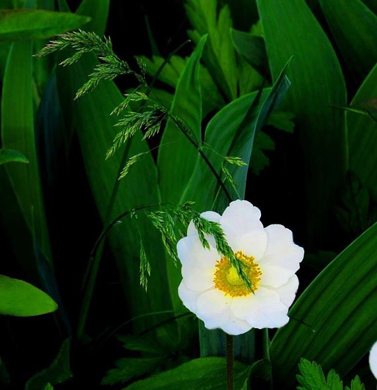 �������� ������ � ���� �������� ) 3 ����� Natali  ��������� �� PhotoGeek.ru #������ ��� ������� #����� ��������������