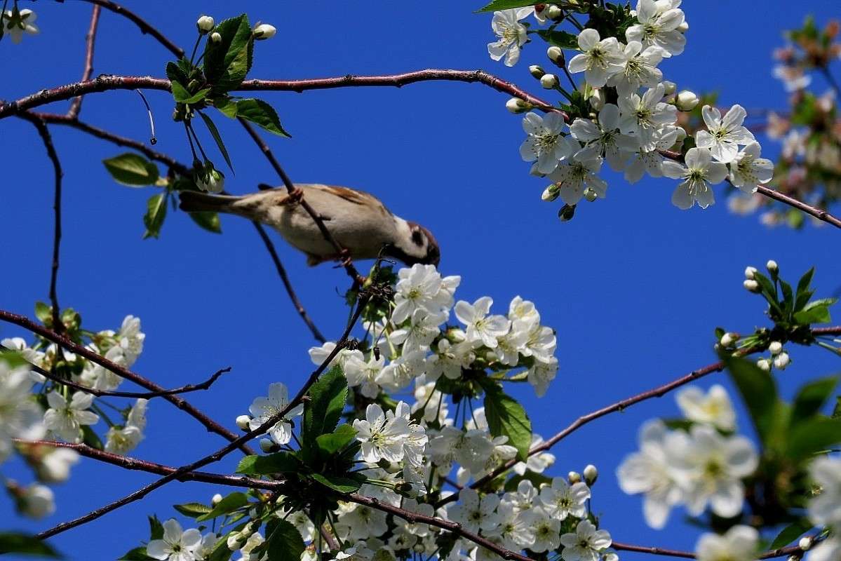 ��� ������ ������� ?! ) ����� Natali  ��������� �� PhotoGeek.ru #�������� ��� #����� ��� ��� ���������