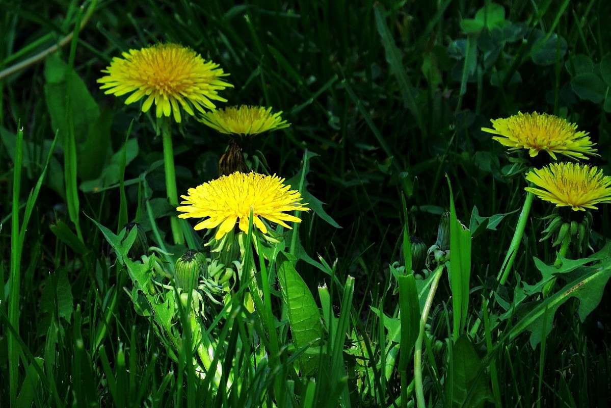 ��������� ������ ) ����� Natali  ��������� �� PhotoGeek.ru #������ ��� ������� #����� ��������������