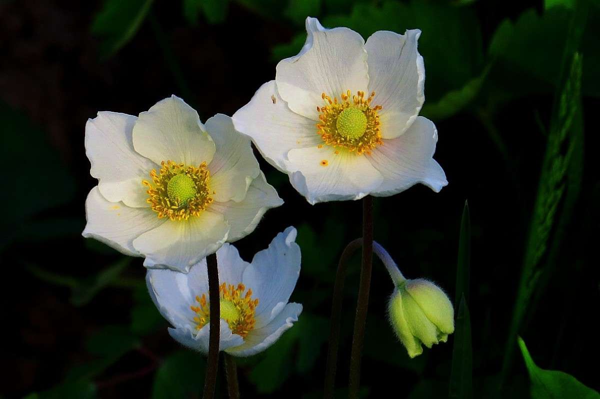 ��������� ��������� ) ����� Natali  ��������� �� PhotoGeek.ru #������ ��� ������� #����� ��������������