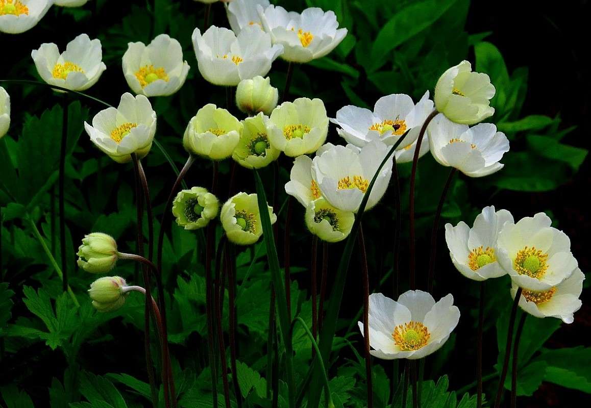 �������� ����� ����� Natali  ��������� �� PhotoGeek.ru #������ ��� ������� #����� ��������������