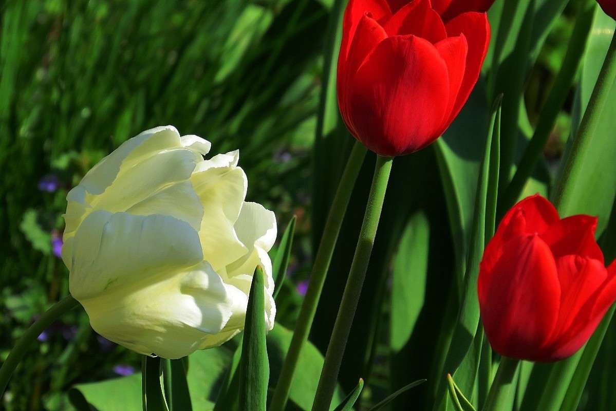 ������� � ����� ) ����� Natali  ��������� �� PhotoGeek.ru #������ ��� ������� #����� ��������������