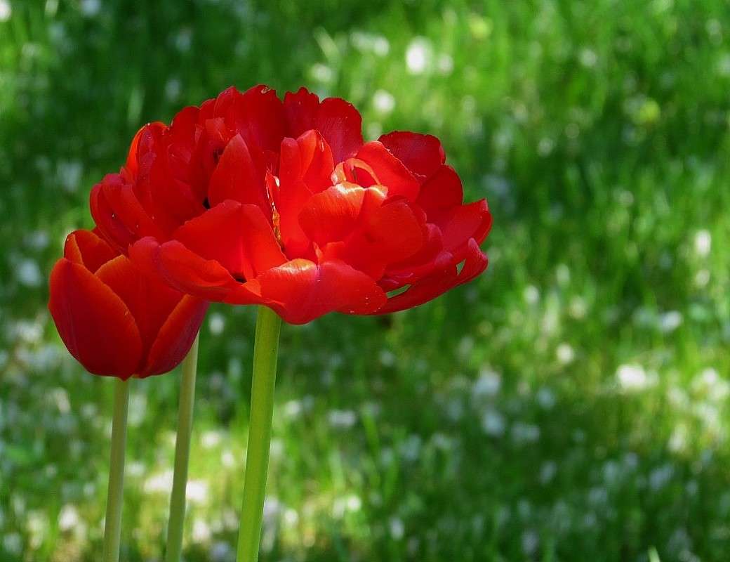 ������ ) ����� Natali  ��������� �� PhotoGeek.ru #������ ��� ������� #����� ��������������