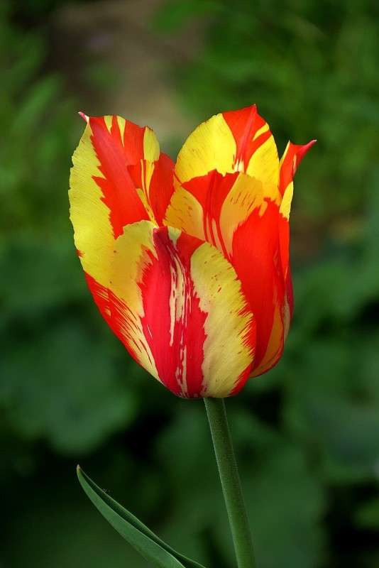 ... ����� Natali  ��������� �� PhotoGeek.ru #������ ��� ������� #����� ��������������