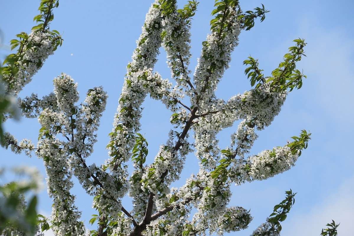 �������� ) ����� Natali  ��������� �� PhotoGeek.ru #������ ��� ������� #����� ��������������