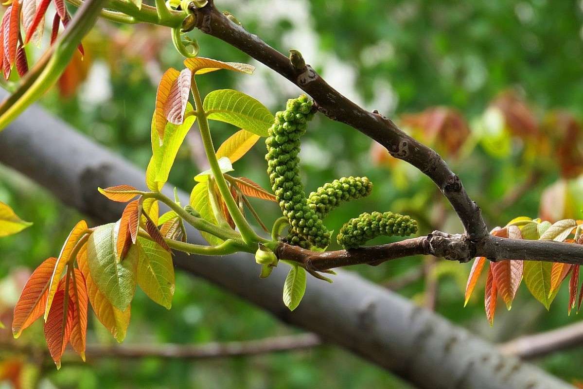 �������� ��������� ) ����� Natali  ��������� �� PhotoGeek.ru #������ ��� ������� #����� ��������������