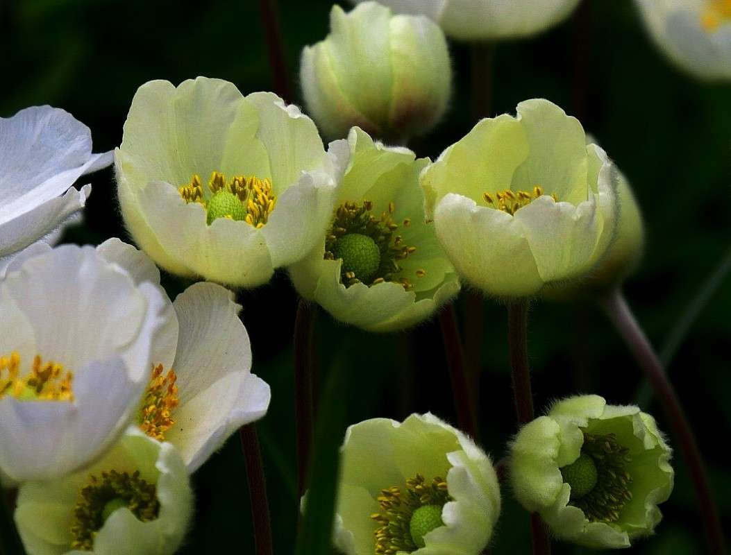 ... ����� Natali  ��������� �� PhotoGeek.ru #������ ��� ������� #����� ��������������