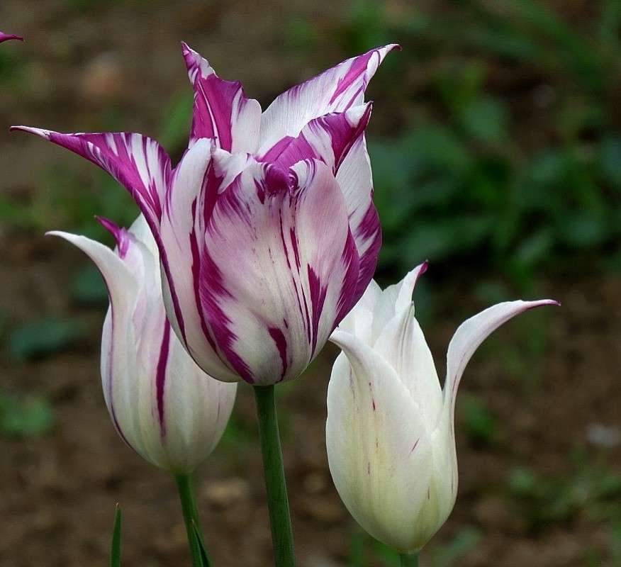 ... ����� Natali  ��������� �� PhotoGeek.ru #������ ��� ������� #����� ��������������