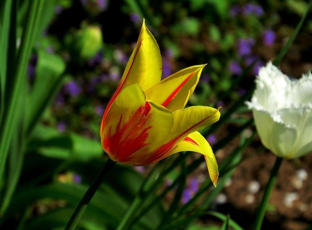 ... ����� Natali  ��������� �� PhotoGeek.ru #������ ��� ������� #����� ��������������