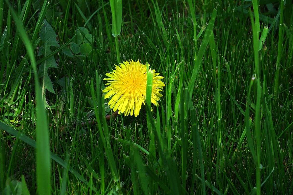 ... ����� Natali  ��������� �� PhotoGeek.ru #������ ��� ������� #����� ��������������