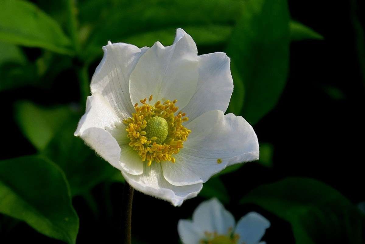 ... ����� Natali  ��������� �� PhotoGeek.ru #������ ��� ������� #����� ��������������