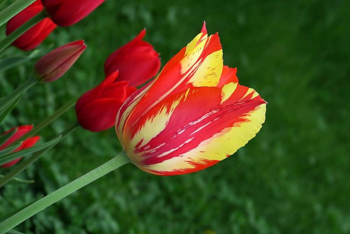 � ������������ ) 2 ����� Natali  ��������� �� PhotoGeek.ru #������ ��� ������� #����� ��������������