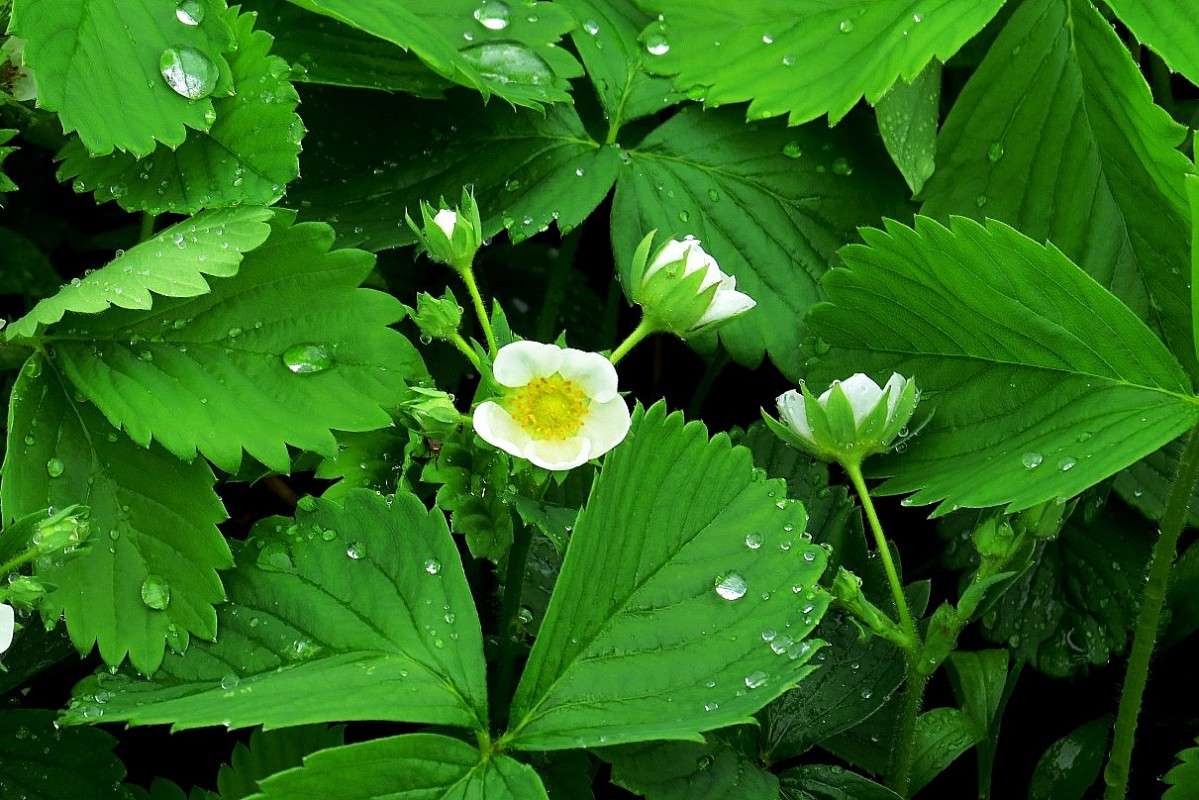 ����� ����� ����� Natali  ��������� �� PhotoGeek.ru #������ ��� ������� #����� ��������������