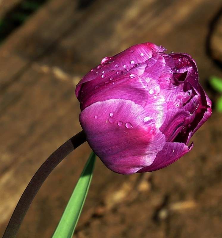 ����� ����� 2 ����� Natali  ��������� �� PhotoGeek.ru #������ ��� ������� #����� ��������������