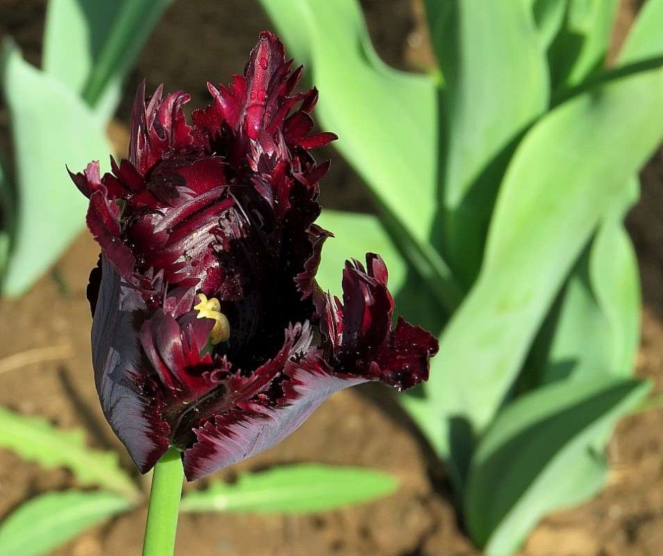 � ������������ 3 ����� Natali  ��������� �� PhotoGeek.ru #������ ��� ������� #����� ��������������