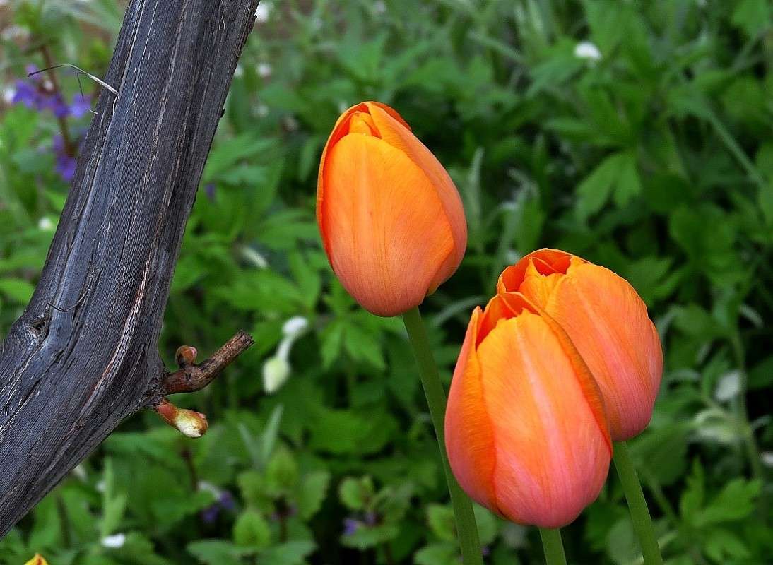 � ������������ ) ����� Natali  ��������� �� PhotoGeek.ru #������ ��� ������� #����� ��������������