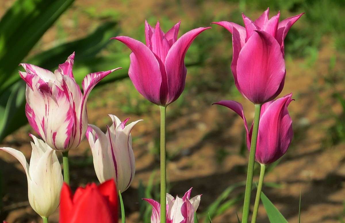 � ������������ 6 ����� Natali  ��������� �� PhotoGeek.ru #������ ��� ������� #����� ��������������