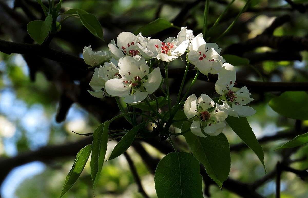 �������� ���� ����� Natali  ��������� �� PhotoGeek.ru #������ ��� ������� #����� ��������������