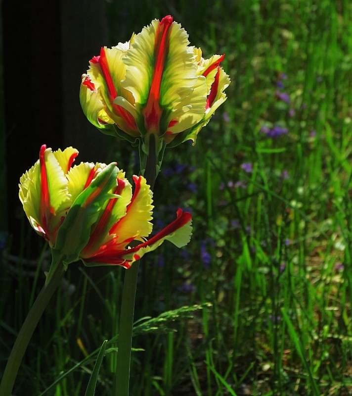 � ������������ 5 ����� Natali  ��������� �� PhotoGeek.ru #������ ��� ������� #����� ��������������