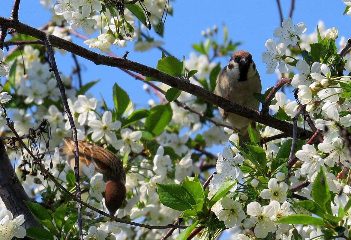 �������� ����� ) ����� Natali  ��������� �� PhotoGeek.ru #�������� ��� #����� ��� ��� ���������