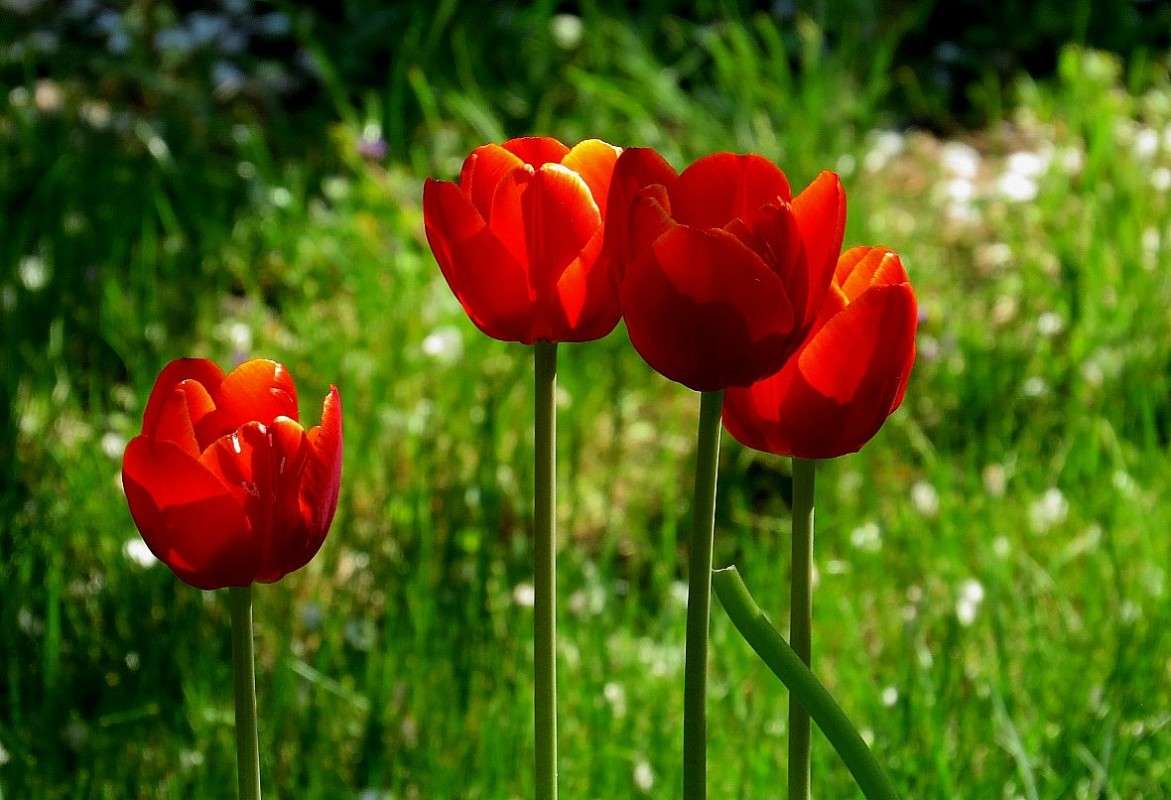 � ������������  4 ����� Natali  ��������� �� PhotoGeek.ru #������ ��� ������� #����� ��������������