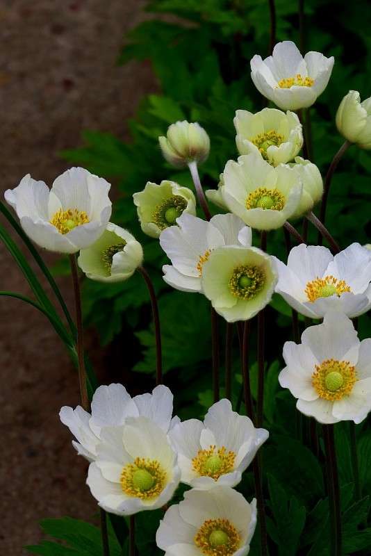 � ������ ������ ) ����� Natali  ��������� �� PhotoGeek.ru #������ ��� ������� #����� ��������������