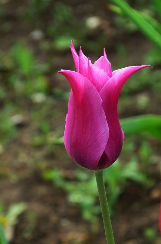 � ������������ 8 ����� Natali  ��������� �� PhotoGeek.ru #������ ��� ������� #����� ��������������