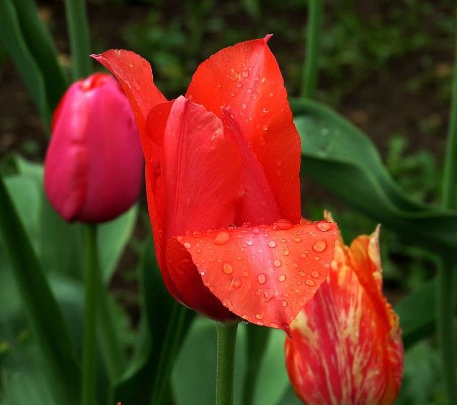 � ������������ 9 ����� Natali  ��������� �� PhotoGeek.ru #������ ��� ������� #����� ��������������