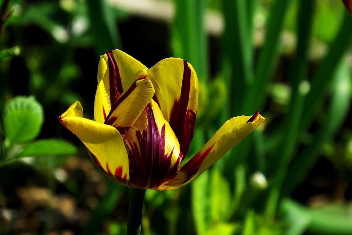 � ������������ 7 ����� Natali  ��������� �� PhotoGeek.ru #������ ��� ������� #����� ��������������