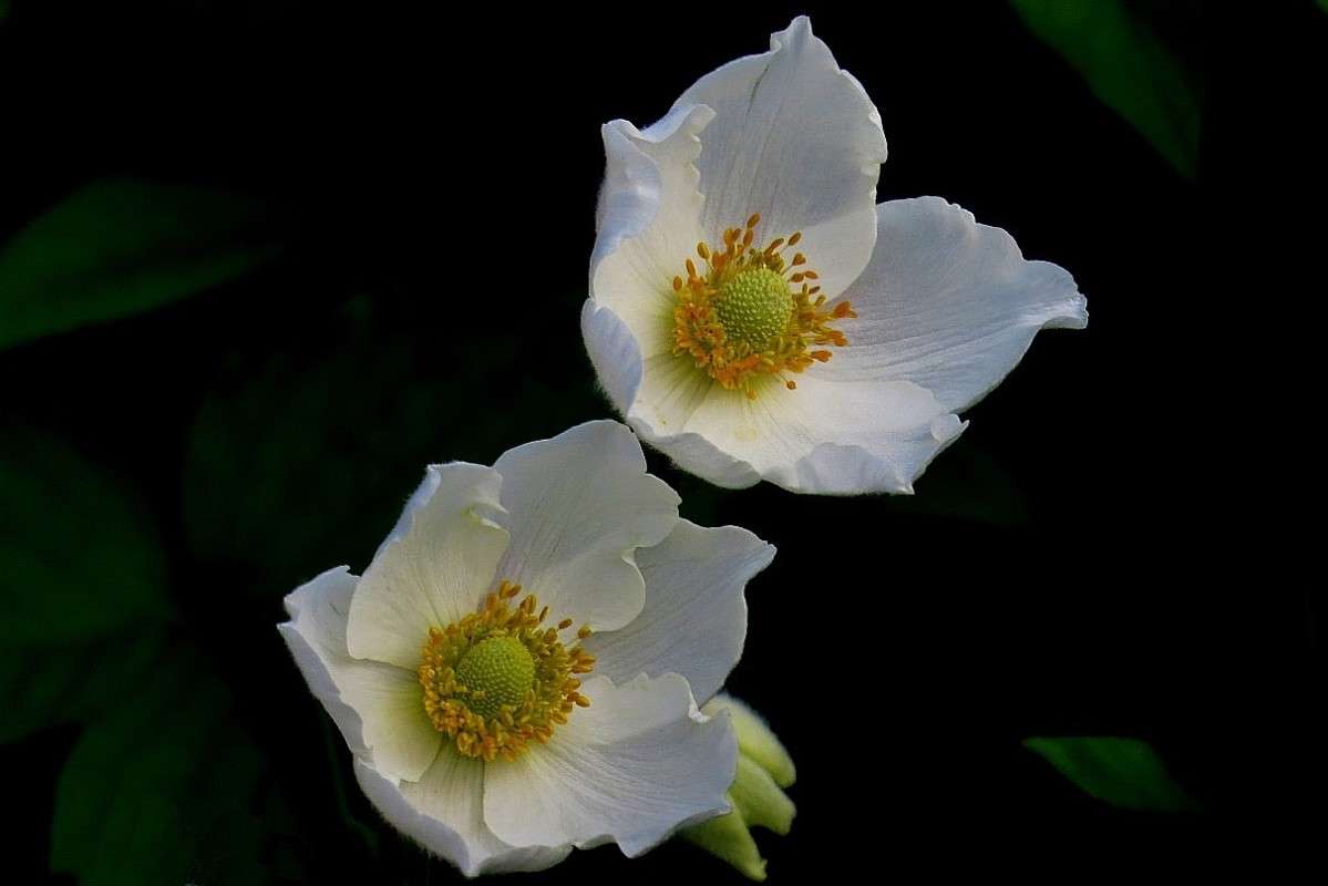 ... ����� Natali  ��������� �� PhotoGeek.ru #������ ��� ������� #����� ��������������