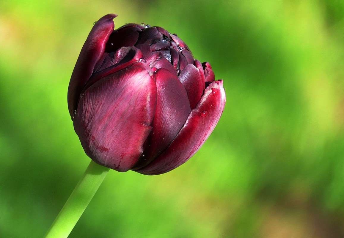 ���� � ������ .... ))) ����� Natali  ��������� �� PhotoGeek.ru #������ ��� ������� #����� ��������������