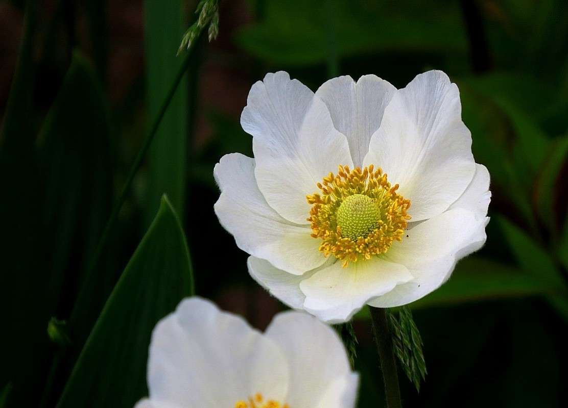 ... ����� Natali  ��������� �� PhotoGeek.ru #������ ��� ������� #����� ��������������