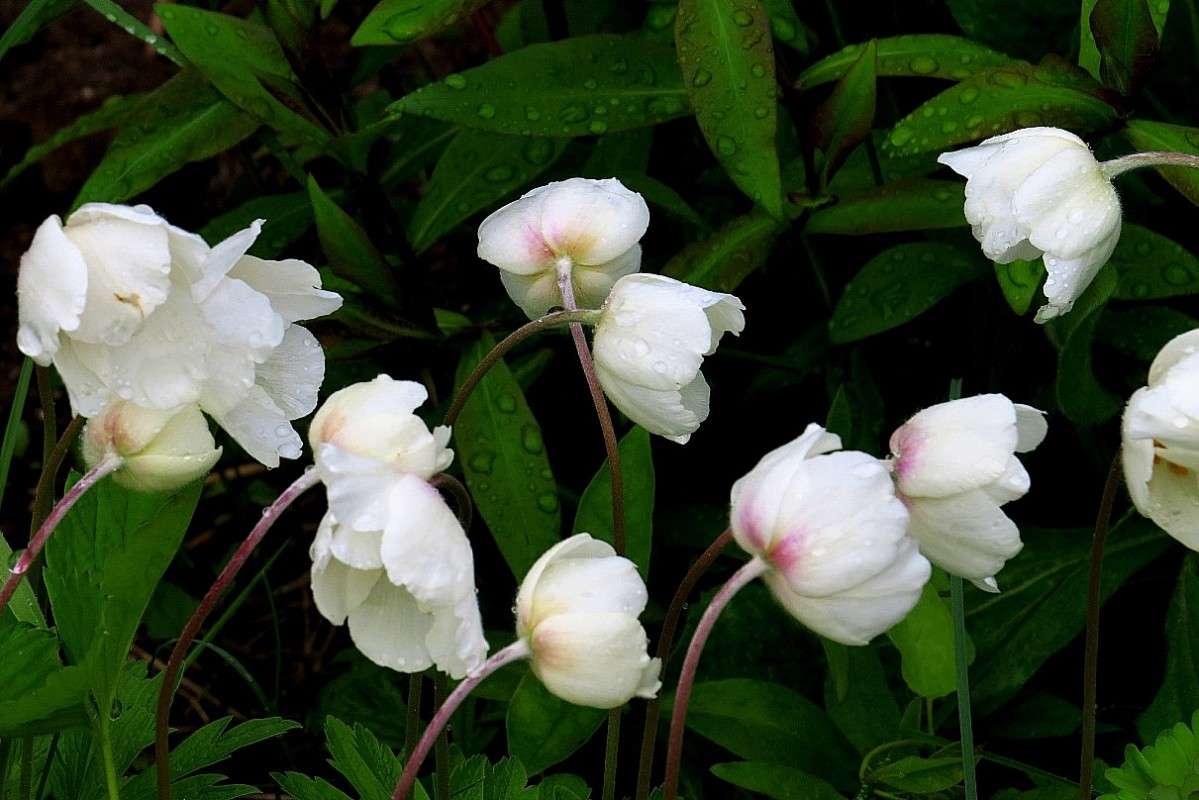 �����, �����, ����� .... ))) ����� Natali  ��������� �� PhotoGeek.ru #������ ��� ������� #����� ��������������