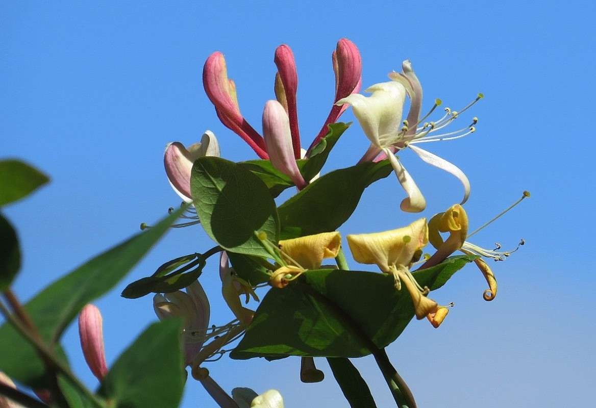 ... ����� Natali  ��������� �� PhotoGeek.ru #������ ��� ������� #����� ��������������