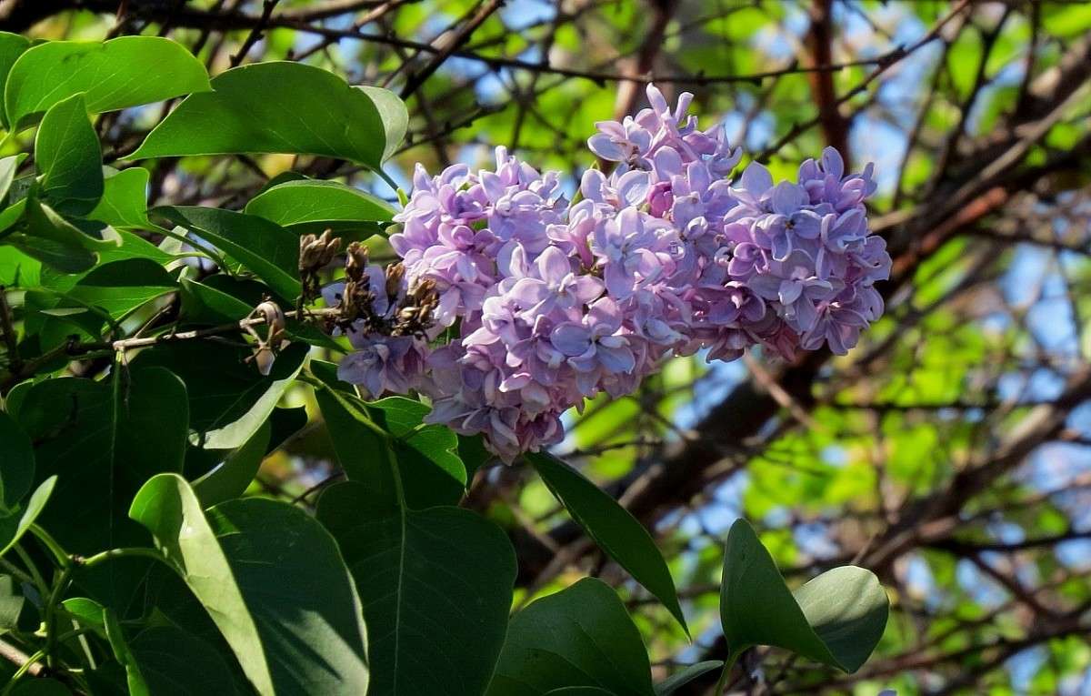 ... ����� Natali  ��������� �� PhotoGeek.ru #������ ��� ������� #����� ��������������