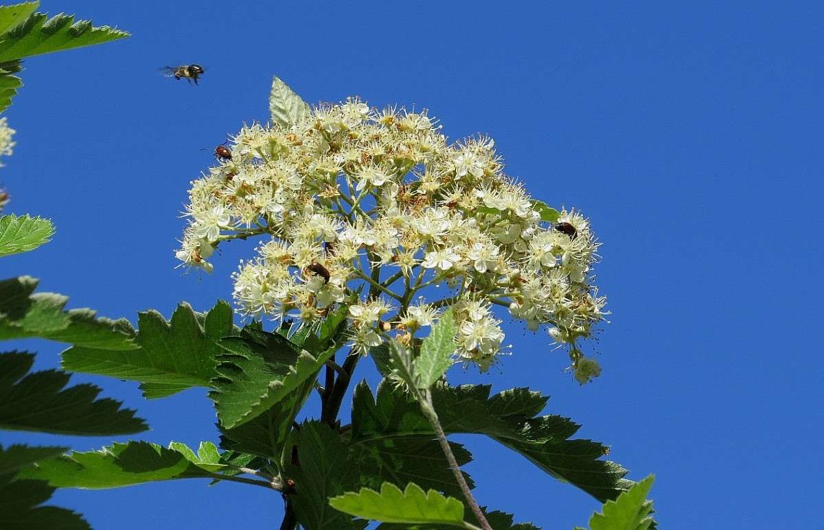 ... ����� Natali  ��������� �� PhotoGeek.ru #������ ��� ������� #����� ��������������