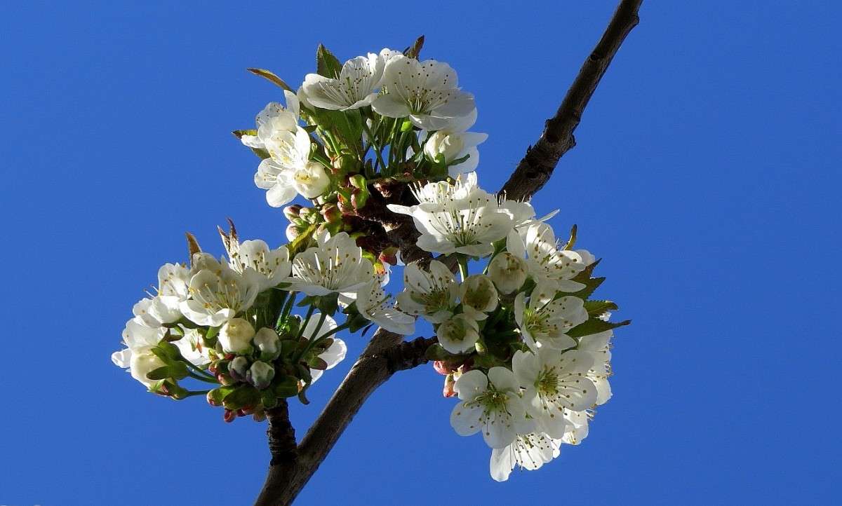 ... ����� Natali  ��������� �� PhotoGeek.ru #������ ��� ������� #����� ��������������