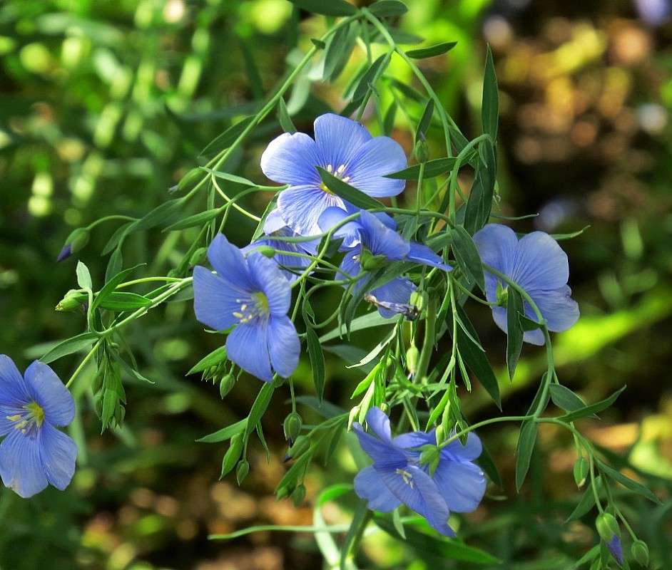 ... ����� Natali  ��������� �� PhotoGeek.ru #������ ��� ������� #����� ��������������