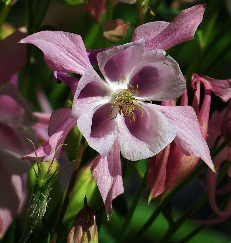 ... ����� Natali  ��������� �� PhotoGeek.ru #������ ��� ������� #����� ��������������